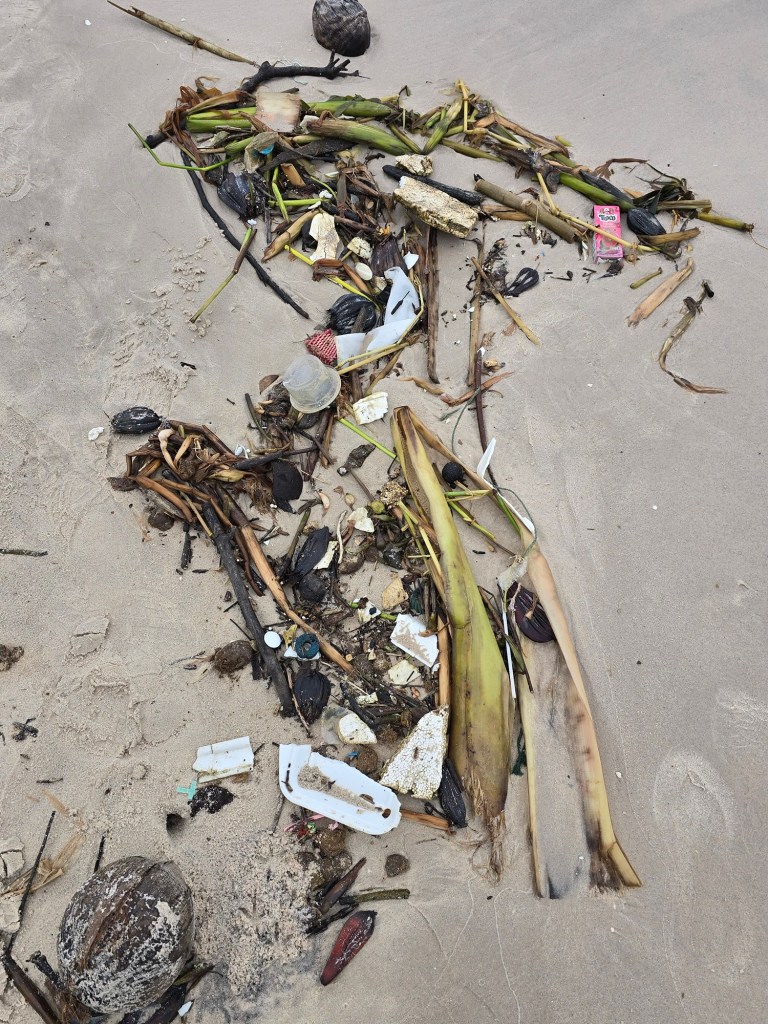 tangled plastic at the waterline